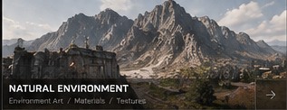 NATURAL ENVIRONMENT